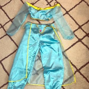 Adult jasmine costume